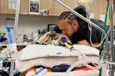 Lewis Hamilton emociona ao contar que seu pet teve parada cardíaca