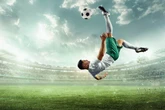 Novibet tem odds de 50 para apostar no vencedor de Vasco x Palmeiras