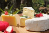 Queijo brasileiro está entre os 100 melhores do mundo; veja ranking