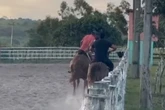Vaqueiro cai de cavalo durante treino e morre pisoteado
