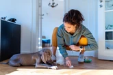 Jamais use água sanitária para limpar xixi do seu pet; saiba o motivo