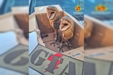 PMDF prende vendedor que comercializava corujas em feira no DF