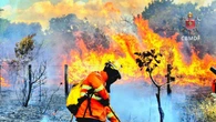 DF tem média de 23 incêndios em vegetação por dia. Como a lei pune?