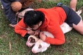 “Foi por pouco”: lutador imobiliza dois pit-bulls após sofrer ataque