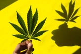 Crianças passam mal após comerem balas com maconha na Holanda