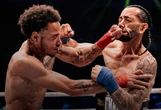 Imagens fortes: lutador tem orelhada rasgada em luta boxe sem luvas