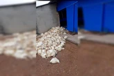 Interrupções de energia na DF-140 colocam granjas em colapso