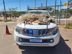 Homens são detidos pela PMDF por pesca proibida em barragem