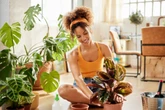 Vai decorar? Confira 3 plantas de sombra para apartamentos pequenos
