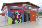 Castra-DF inaugura abrigo público temporário para animais de rua