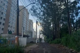 Aranhas de grande porte invadem zona leste e levam pânico a moradores