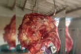 Carnes em lonas e baldes: açougue clandestino funcionava em casa no DF