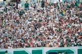 Principal torcida organizada do Palmeiras anuncia retorno aos estádios