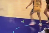 Homens são presos por lançarem pênis de borracha em jogos da WNBA