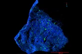 Mineral nunca visto na Terra é encontrado em fragmento de asteroide