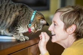 Por que falamos com pets como se fossem gente, segundo a psicologia