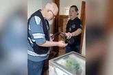 Metanol: operação em adegas de Rio Preto aplica multas e cancela CNPJ