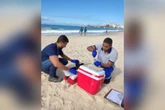 Após anos de poluição, Praia de Botafogo está própria para banho