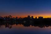 Completando 71 anos, Parque Ibirapuera vira tema de concurso de fotos