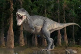 Cicatrizes de dinossauros encontrados no Brasil revelam agressividade