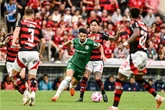 Reta final do Brasileirão: o que ainda está em jogo e como apostar