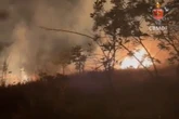 Incêndio atinge 1.200 m² de área florestal em núcleo rural do DF