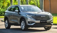 GWM lidera híbridos em Brasília e celebra com nova versão do Haval H6
