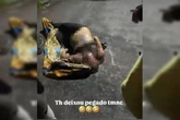 Diaba Loira é morta a tiros após confronto entre CV e TCP. Veja vídeo