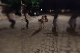 Bode viraliza ao brincar de “batatinha frita 1, 2, 3” com crianças. Vídeo
