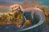 Dinossauro megaraptor é encontrado com “última refeição” ainda na boca