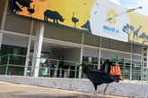 Barreira sanitária e EPIs. Zoo prepara reabertura após gripe aviária