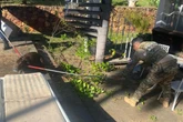 PMDF resgata 6 capivaras de piscina em bairro nobre de Brasília. Vídeo