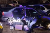 Boi ajuda polícia a prender contrabandista de Goiás; entenda