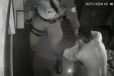 Juíza nega medida protetiva a PMs contra pais de estudante morto em SP