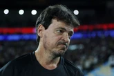 Confira como Fernando Diniz classificou a derrota para o Botafogo