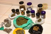 Bolsista da Fiotec é preso por plantar maconha em condomínio no DF