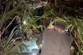 PF e PM apreendem mais de 8 toneladas de maconha no Paraná. Vídeo