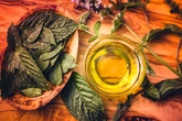 Chá antioxidante auxilia no controle da glicemia e protege o coração