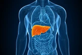 Chá anti-inflamatório pode ajudar a proteger o fígado e o intestino