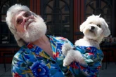 Calmos e carinhosos: as melhores raças de cães para tutores sossegados
