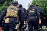 PF desmonta rede criminosa que vendia “cogumelos mágicos” em SC