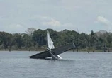 FAB intercepta avião vindo da Venezuela com 380 kg de maconha