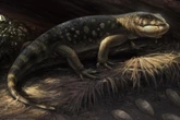 Lagarto pré-histórico gigante ganha nome de personagem de O Hobbit