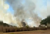 Vídeo: incêndio atinge área de vegetação próximo ao aeroporto do DF