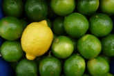 Saiba escolher limões, e para qualquer problema, faça uma limonada