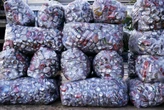 Reciclagem no Brasil ainda é baixa, mas fatores podem reverter cenário