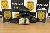 PCDF intercepta R$ 100 mil de maconha tipo skunk. Veja vídeo