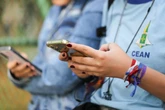 Celular Seguro: app já emitiu mais de 150 mil alertas de bloqueio
