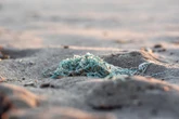 Meio ambiente: microplásticos achados no mar podem ser reaproveitados?