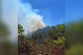 Incêndio na Chapada dos Veadeiros atinge mais de 2 mil hectares